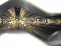 Spianatrici 5